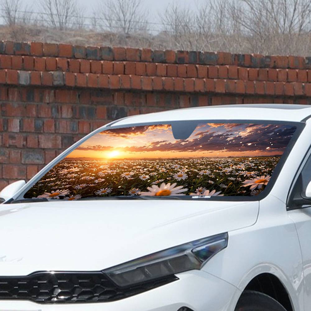 Parasol para coche con diseño  - Car Accessories Window reseña y precio